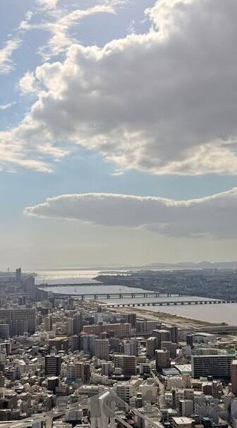 大象传媒影视app免费版-探索大象传媒影视APP免费版的魅力与影响
