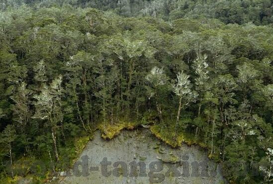 国产一区二区三区在线视频-国产一区二区三区在线视频，网络文化新生态的多元视角