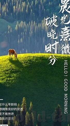 麻豆果冻传媒原创视频-麻豆果冻传媒原创视频的魅力与影响