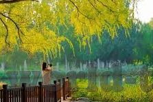 糖心app免费版安卓版-探索安卓世界的甜蜜邂逅，糖心app免费版的惊喜之旅